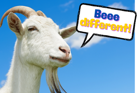 La nostra caratteristica: Beee(n) Different !